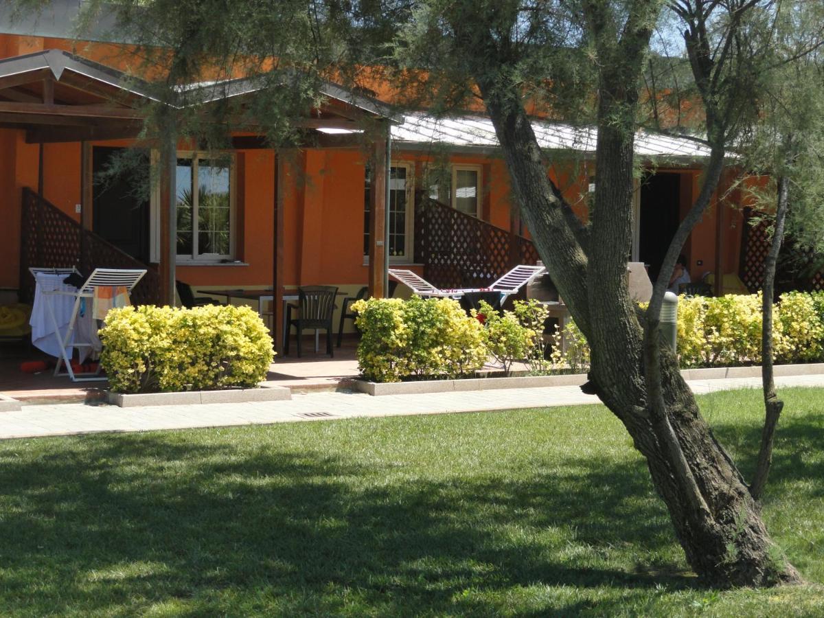 Oasi Del Mare Aparthotel Tirrenia Exterior foto